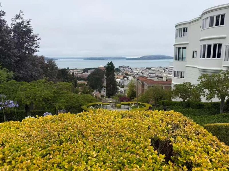 San Francisco: Muir Woods, Sausalito, & Battery Spencer Tour - Logistics and Practical Tips