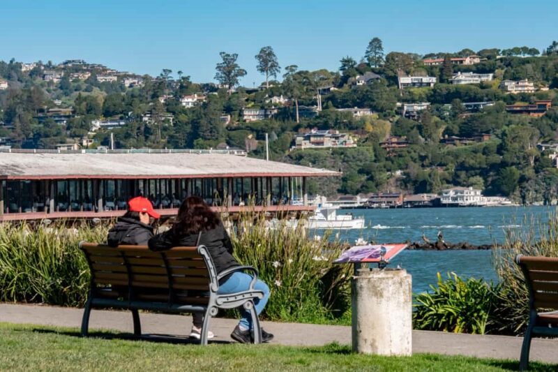 San Francisco: Muir Woods & Sausalito Tour with Ferry Option - Sausalito: A Picturesque Coastal Village