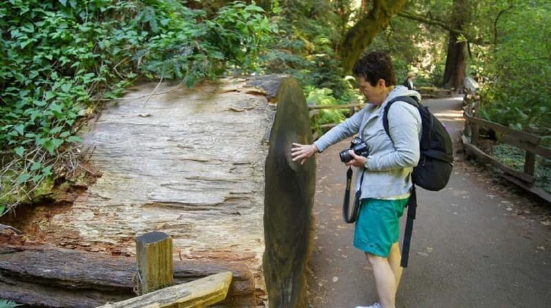 San Francisco: Muir Woods Tour & Golden Gate Bay Cruise - Exploring Muir Woods’ Towering Coastal Redwoods