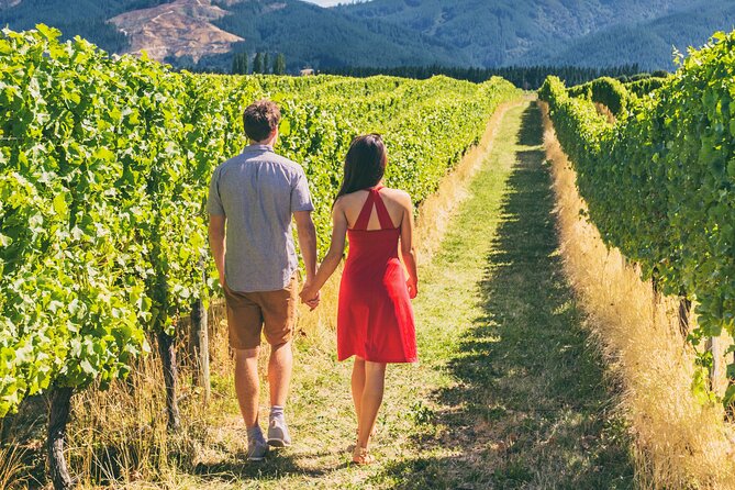 San Francisco: Napa & Sonoma Wine Tour & 24hr Hop-on Hop-off Tour - San Francisco: Napa & Sonoma Wine Tour & 24hr Hop-on Hop-off Tour