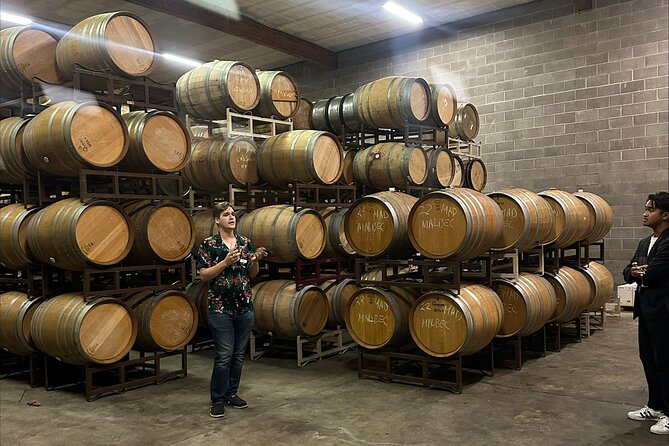 San Francisco: Napa & Sonoma Wine Tour & 24hr Hop-on Hop-off Tour - Logistics and Practicalities