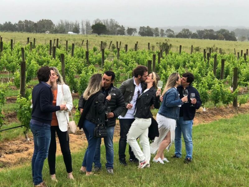 San Francisco: Napa Valley Half-Day Wine Tour with Tastings - Discover Napa Valley on a Guided Half-Day Wine Tour from San Francisco