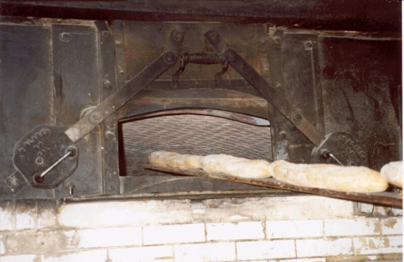 San Francisco: North Beach and Little Italy Food Tour - Practical Tips for a Satisfying Experience