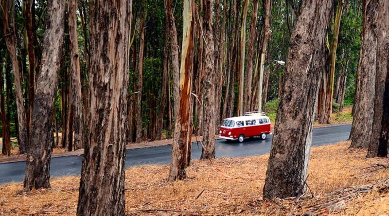 San Francisco: Original 3-Hour City Tour in Volkswagen Bus - Exploring San Francisco in a Vintage Volkswagen Bus