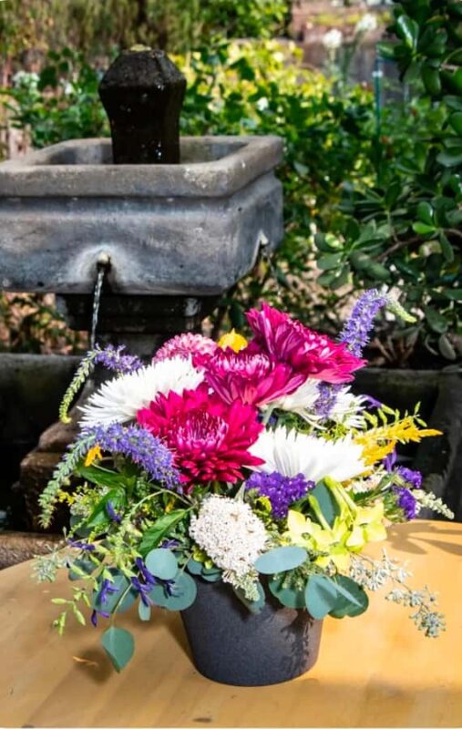 San Francisco Photo Tour with a Private Photographer - Exploring Iconic Neighborhoods and Viewpoints