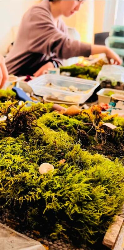 San Francisco Photo Tour with a Private Photographer - Discover San Francisco with a Private Photographer in Just 1 Hour