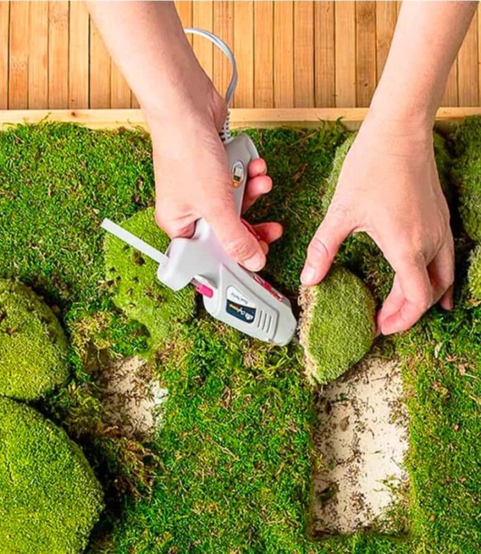 San Francisco Photo Tour with a Private Photographer - Key Points