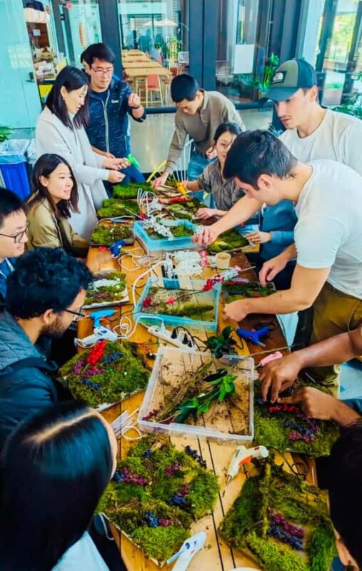 San Francisco Photo Tour with a Private Photographer - Exploring San Francisco’s Most Photogenic Neighborhoods