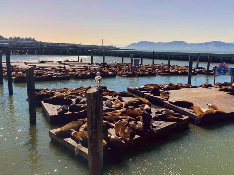 San Francisco Private Custom Tour - Exploring San Francisco with a Private Guide and Custom Route