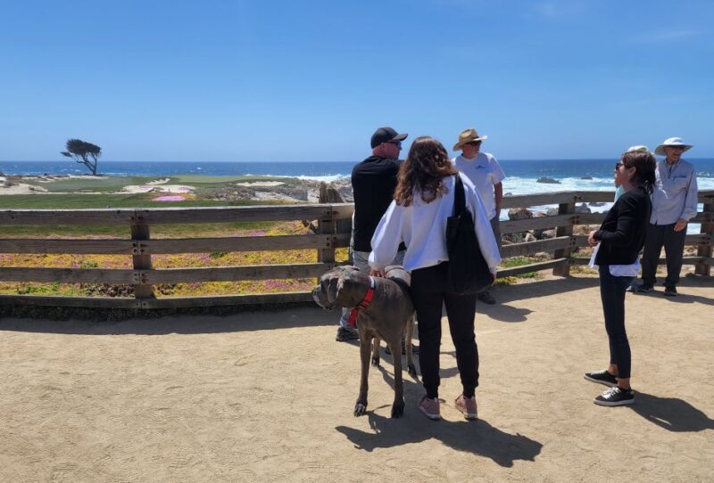 San Francisco: Private Monterey Aquarium 17 Mile Carmel - Value and Provider Reliability