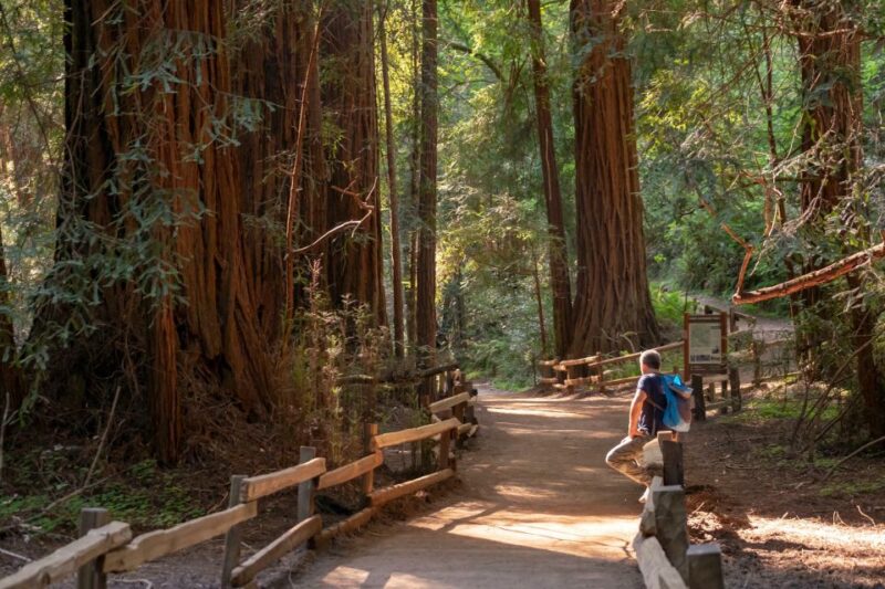 San Francisco: Private Muir Woods and Sausalito Tour - The Practicalities: What’s Included and What’s Not