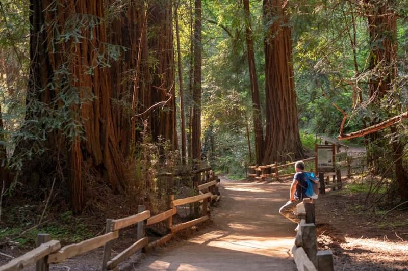 San Francisco: Redwood & Wine Country Tour with Lunch & Wine - Exploring Muir Woods’ Towering Redwoods