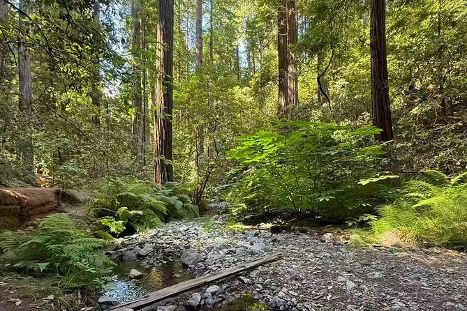 San Francisco, Redwoods & Sausalito: A Scenic Small-Group Escape - The Insiders View at Battery Spencer