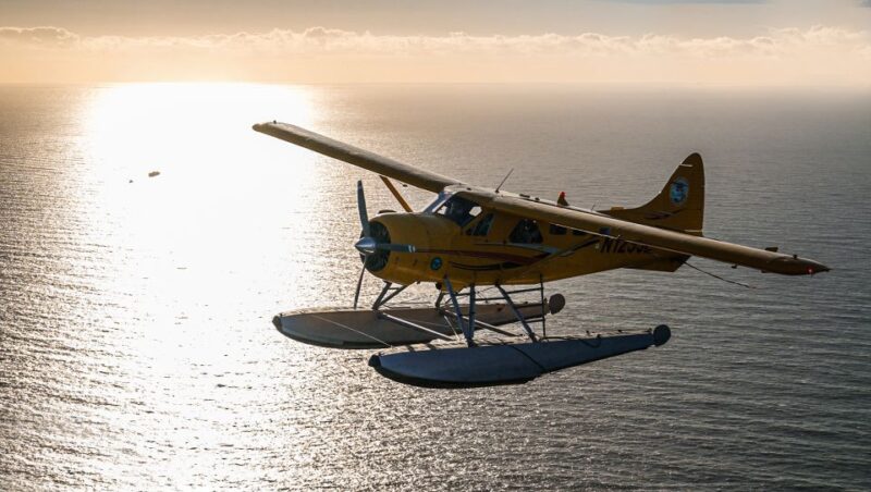 San Francisco: Seaplane Flight with Champagne - Key Points