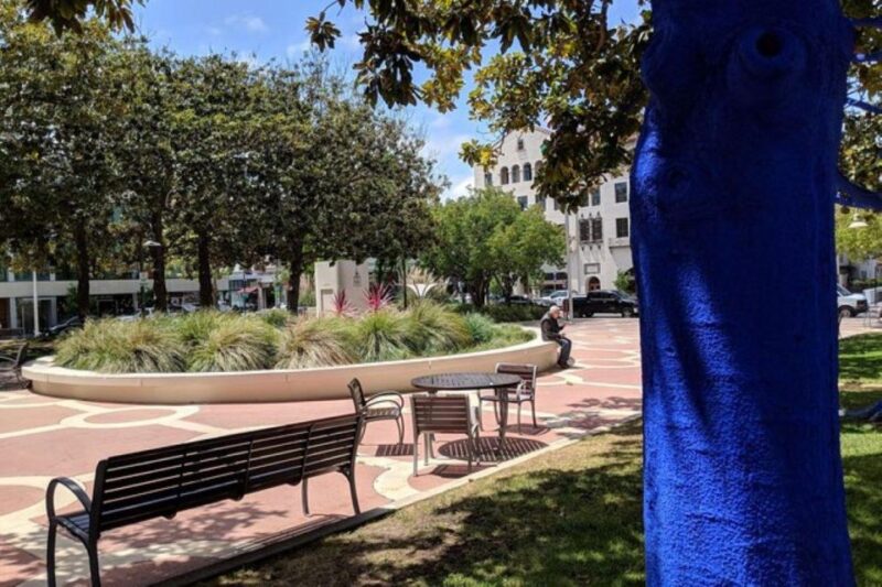 San Francisco: Silicon Valley Private Tour with Transfers - Visiting Googleplex: Behind the Curtain of Google’s HQ