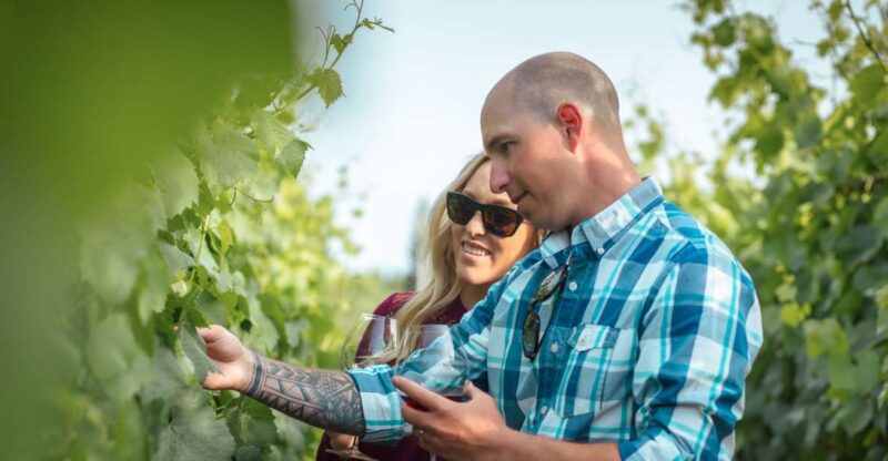 San Francisco: Sonoma Wine Country Tour with Tastings - Visiting Sonoma’s Top Boutique Wineries