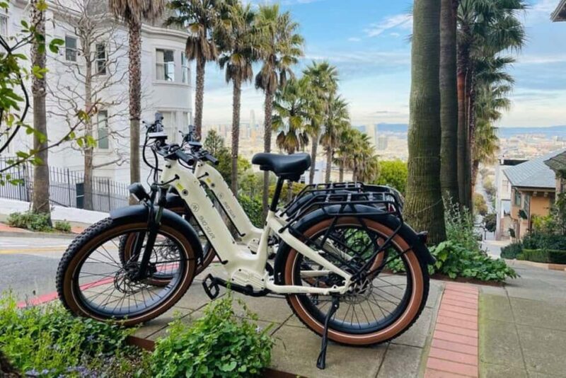 San Francisco: Summer of Love Guided eBike Tour - Scenic Ride Through Golden Gate Park