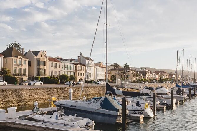 San Francisco: Surrey Ride Along the Scenic Marina Waterfront - Limitations and Important Considerations