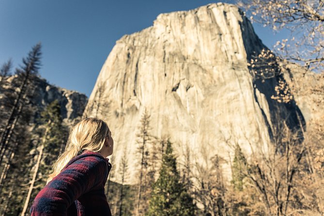 San Francisco to Yosemite One-Way Transfer - Key Points