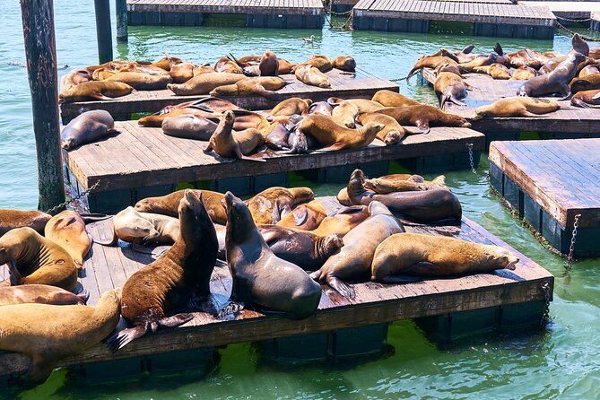 San Francisco Uncovered Self-Guided Adventure - Unique Experience at Musée Mécanique
