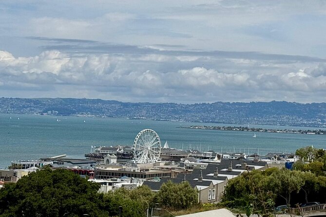 San Francisco Wine Country Tour in EV VW Van - Benefits of Choosing a Small-Group Tour