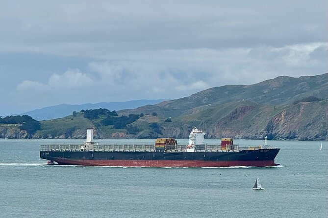 San Francisco Wine Country Tour in EV VW Van - Environmental Considerations with the Electric VW Van