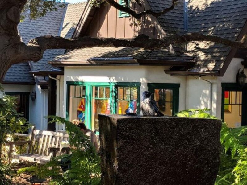 San Francisco:Private Monterey, Carmel and Big Sur Day Trip - Scenic Drive Along Highway One with Breathtaking Views