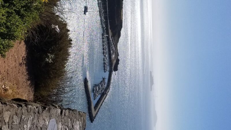 San Fransico: Muir Woods & Marin Headlands Private Tour - Exploring Marin Headlands and Hawk Hill for Panoramic Views