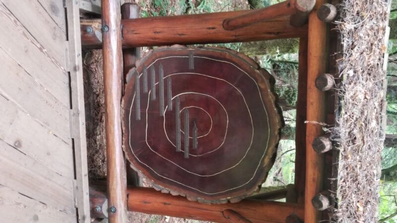 San Fransico: Muir Woods & Marin Headlands Private Tour - The Hidden Charm of Point Bonita Lighthouse