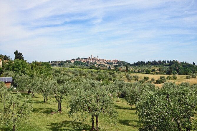 San Gimignano and Winery Experience with Light Lunch from Pisa - Comfortable Transport and Small Group Advantages