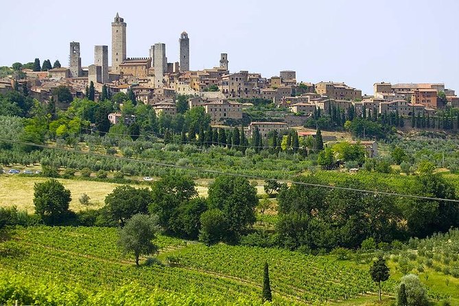 San Gimignano, Chianti, and Montalcino Day Trip from Siena - Free Time in Montalcino’s Historic Fortress