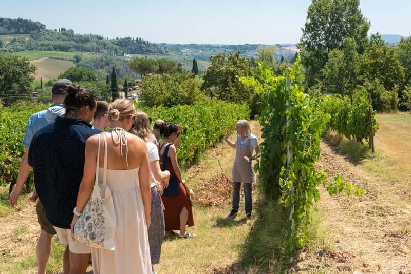 San Gimignano: Mini Wine Tour with Tuscan aperitif - Starting at Guardastelle for an Authentic San Gimignano Experience