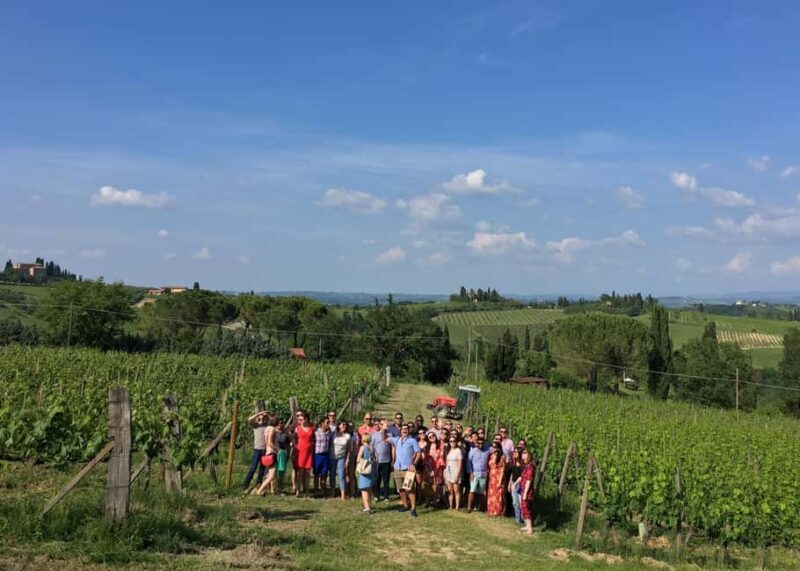 San Gimignano: Premium Wine Tour with Lunch - Starting Point at Località Sovestro Cortennano