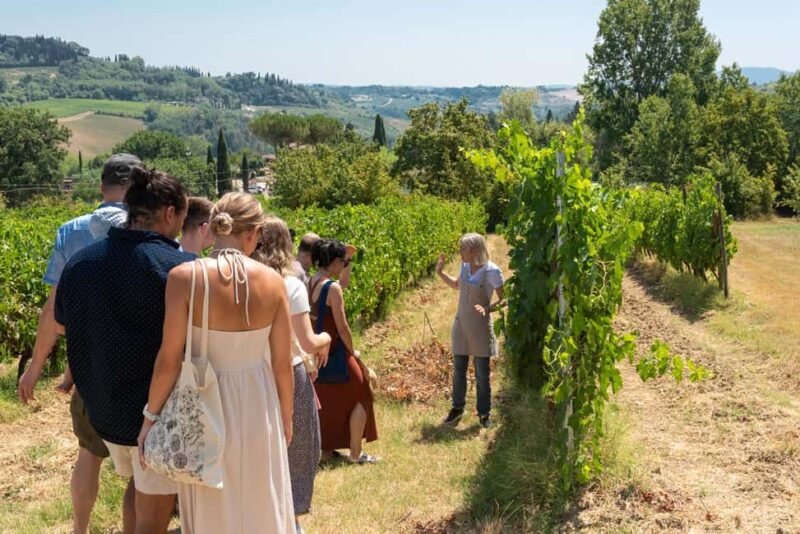 San Gimignano: Premium Wine Tour with Lunch - Important Practical Details and Recommendations