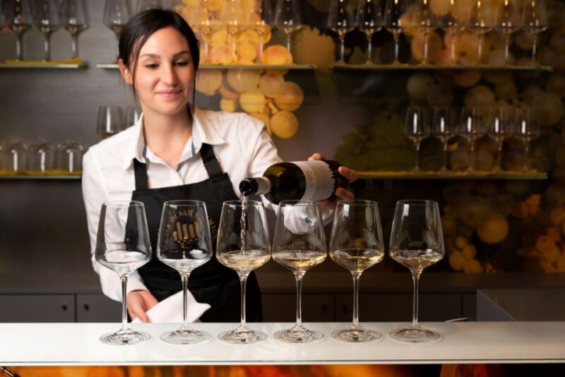 San Gimignano: Professional Wine Tasting Experience - Key Points