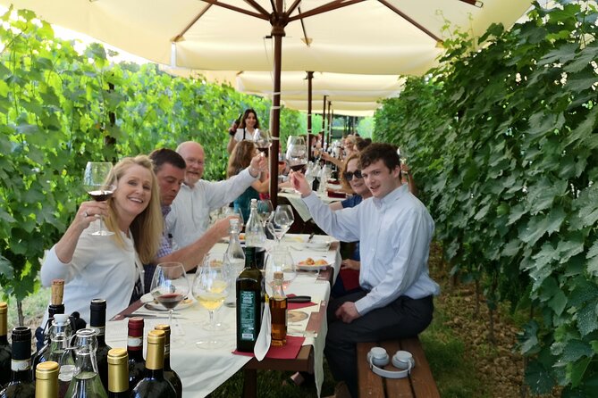 San Gimignano Romantic Dinner in the Vineyards - The Wine and Food Pairing Experience