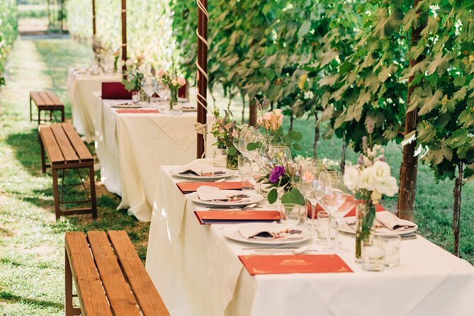 San Gimignano Romantic Dinner in the Vineyards - Pacing and Group Size: Rushed to Relaxed Moments