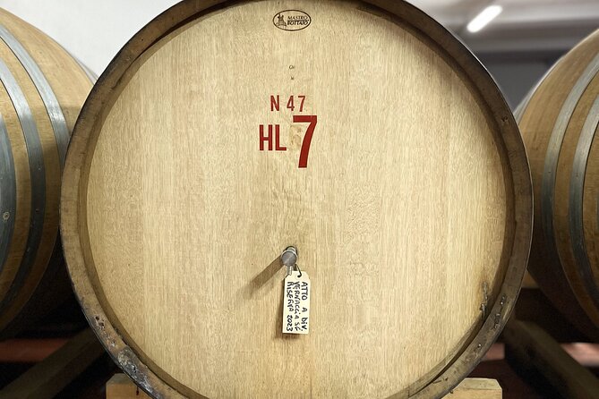 San Gimignano: Vineyard and Cellar Tour with Wine Tasting - Practical Considerations and Booking Tips