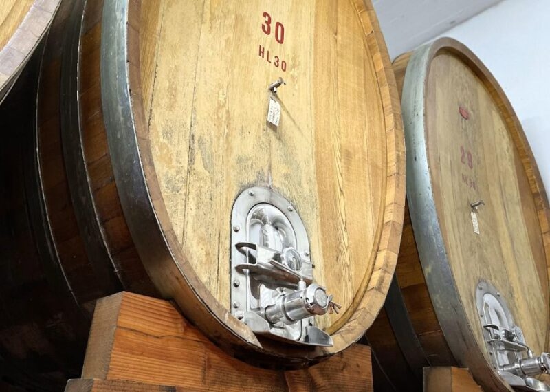 San Gimignano: Vineyard and Cellar Tour with Wine Tasting - Food Pairings and Local Delights