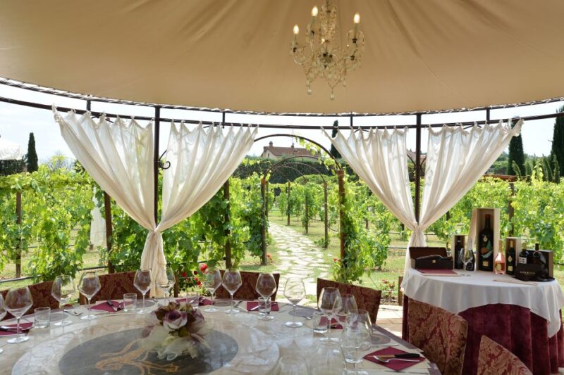 San Gimignano: Vineyard Walk with Wine Tasting in winery - Accessibility and Booking Flexibility