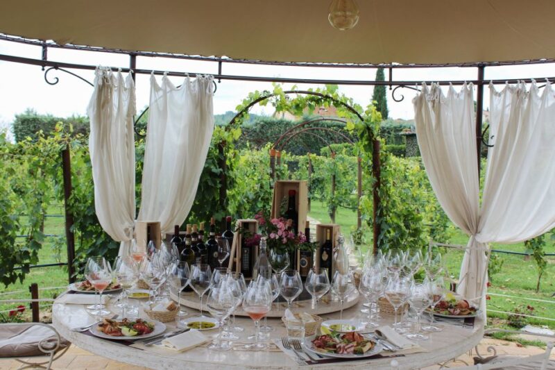 San Gimignano: Vineyard Walk with Wine Tasting in winery - Who Will Enjoy This Experience Most