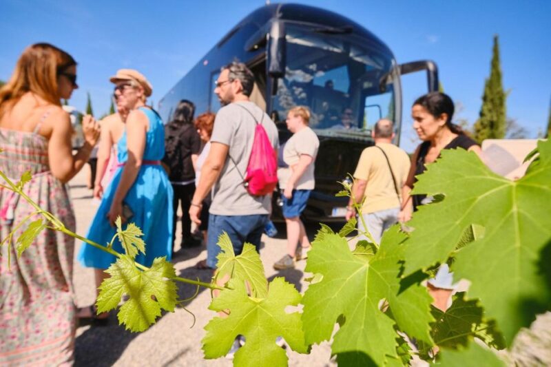 San Gimignano, Volterra, St Galgano Abbey small group tour - The Scenic Drive and Expert Guidance