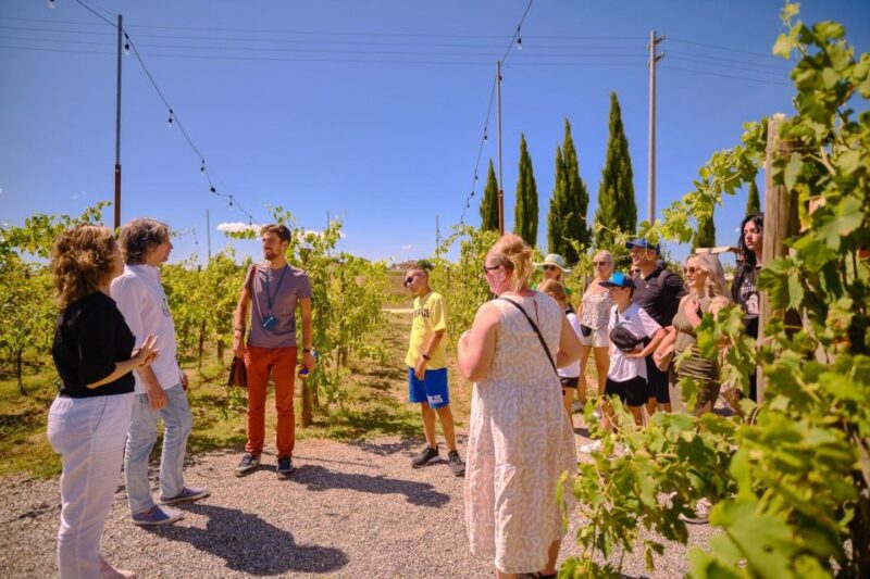San Gimignano, Volterra, St Galgano Abbey small group tour - Who Will Enjoy This Tour Most?