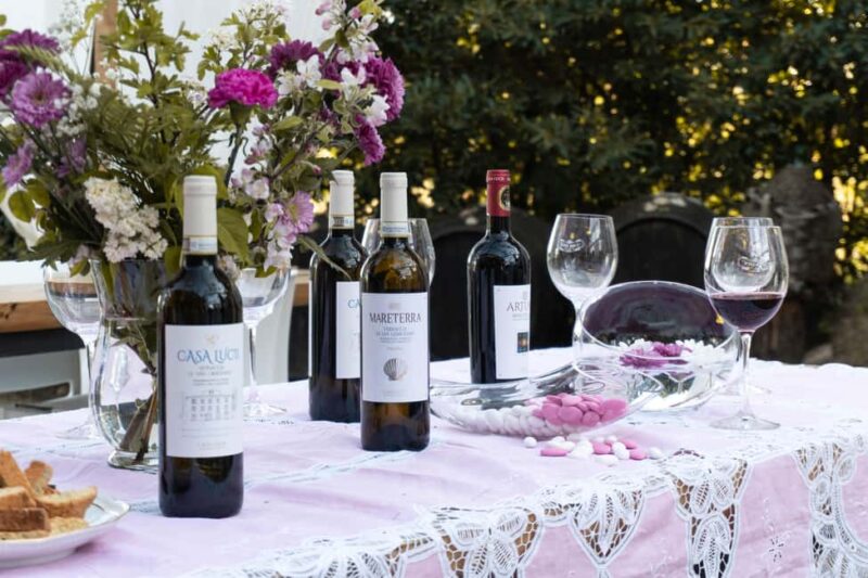 San Gimignano: Wine and Food Tasting in a Family Winery - Tasting 8 Organic Wines Paired with Tuscan Food