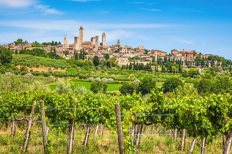 San Gimignano: Wine and Oil Tasting with Tuscan Appetizers - Booking Flexibility and Accessibility