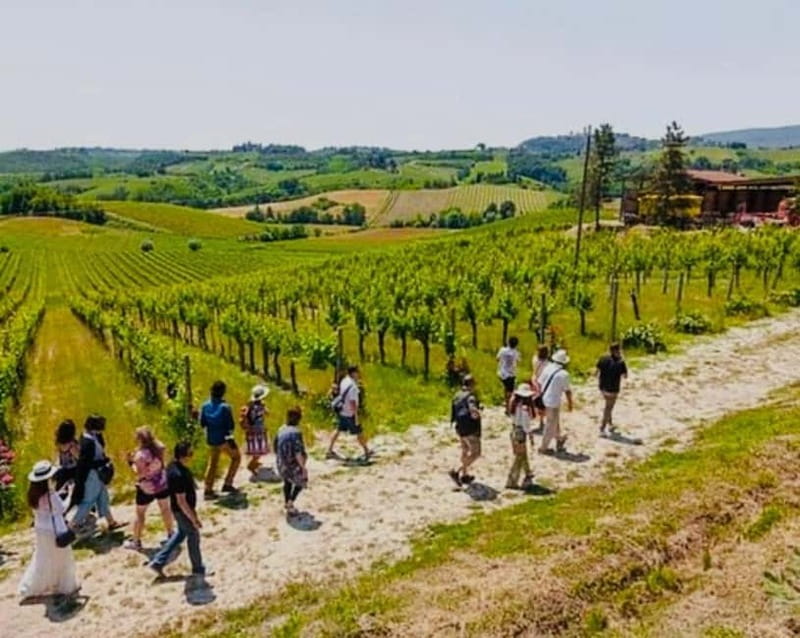 San Gimignano Wine Experience - Exploring San Gimignano’s Medieval Towers and Historic Squares