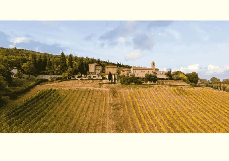 San Gimignano: Wine Tasting Experience at Il Colombaio - A Focus on Il Colombaio di Santa Chiara’s Scenic Vineyard Setting