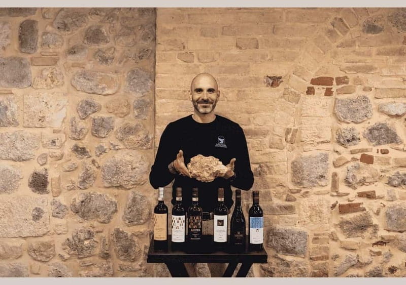 San Gimignano: Wine Tasting Experience at Il Colombaio - Comparing This Experience with Similar Tours