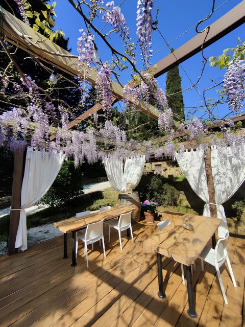 San Gimignano: Wine Tasting with Food Pairing - What Sets This Tour Apart from Others