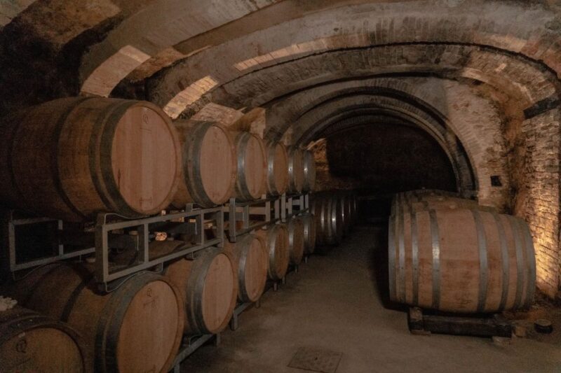 San Gimignano: Wine Tasting with Food Pairing - Final Thoughts on the Casa Lucii Wine Tasting